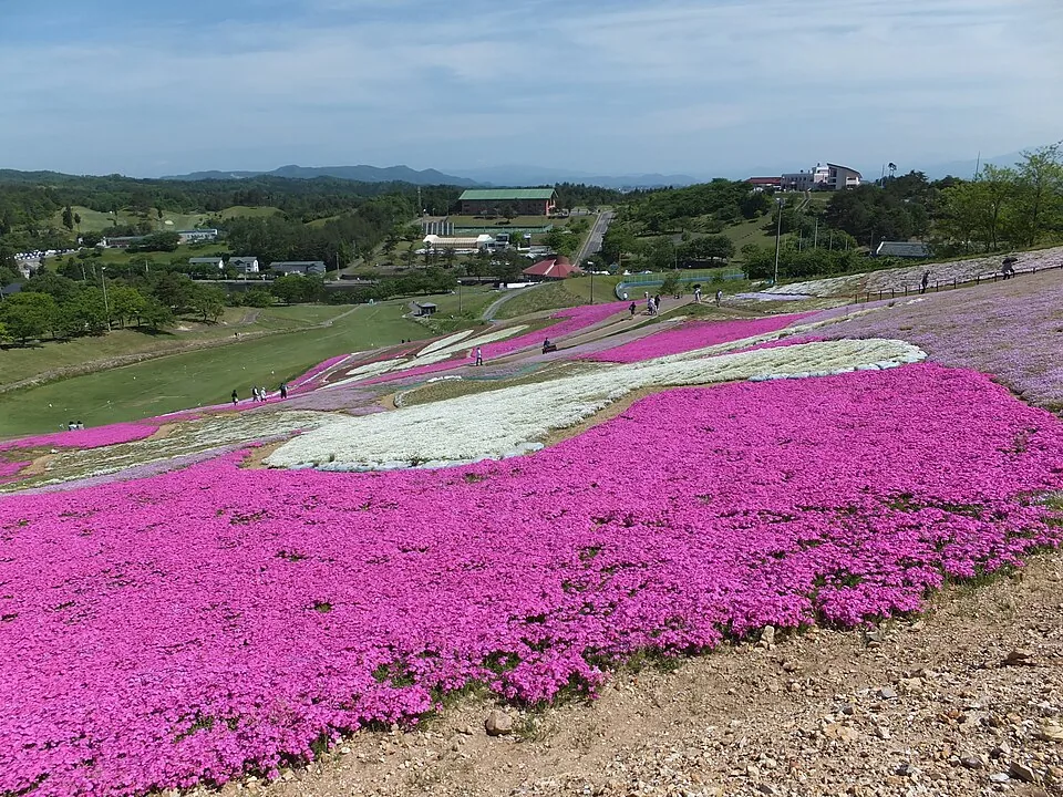 大森公園
